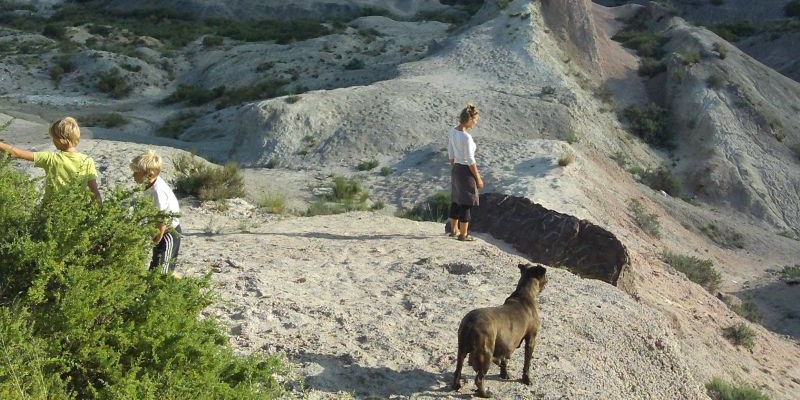 Christine schaut mit Hund in eine Richtung